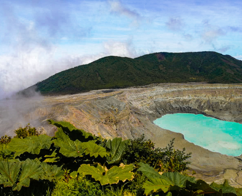 800 x 650 Carrusel 4